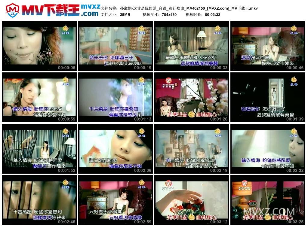 孙淑媚-这甘是阮的爱_台语_流行歌曲_MA402150